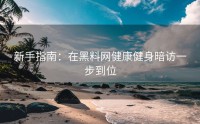 新手指南：在黑料网健康健身暗访一步到位