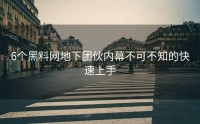 6个黑料网地下团伙内幕不可不知的快速上手
