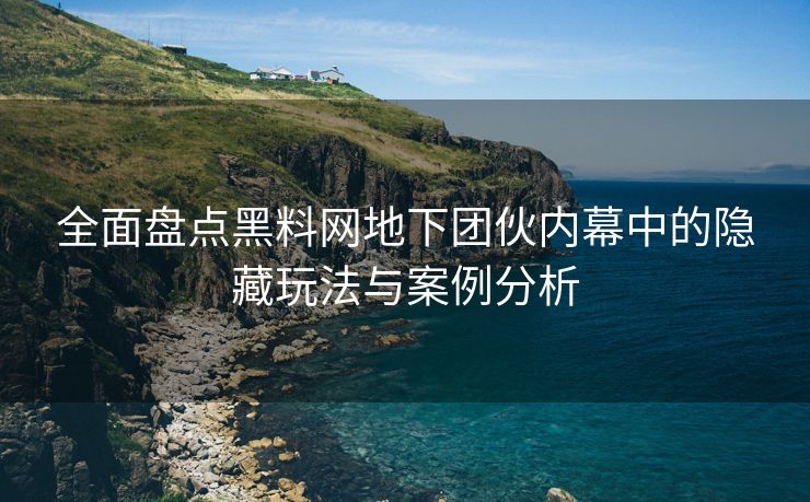 全面盘点黑料网地下团伙内幕中的隐藏玩法与案例分析 全面盘点黑料网地下团伙内幕中的隐藏玩法与案例分析